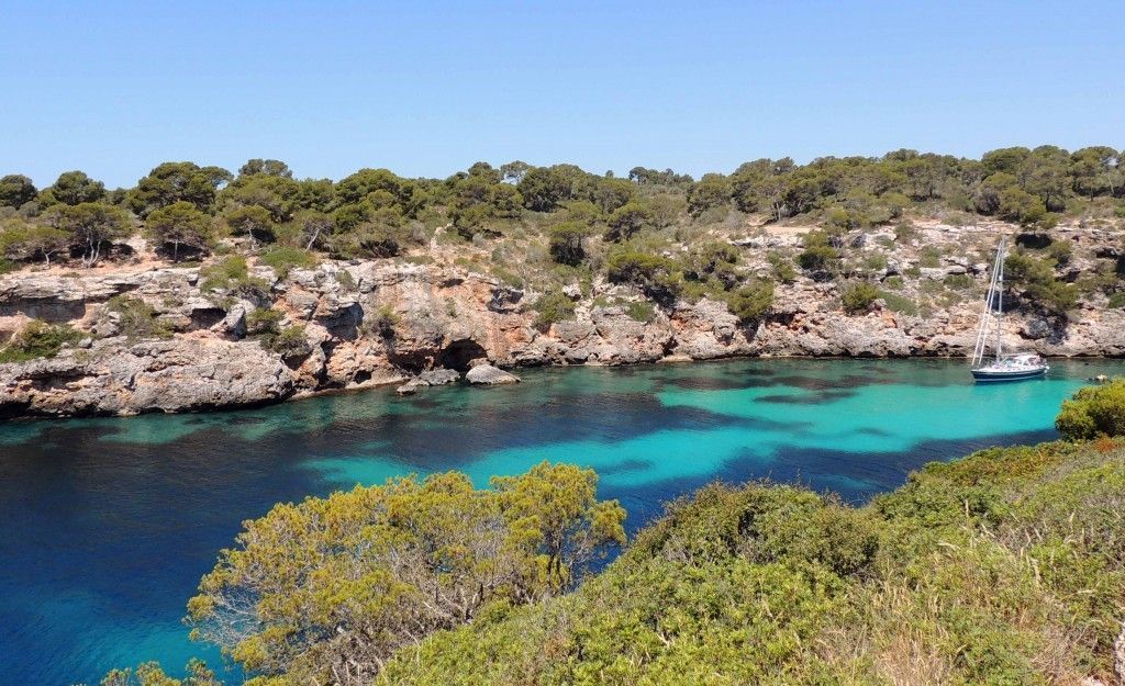 Vista de Cala Pi desde las rocas