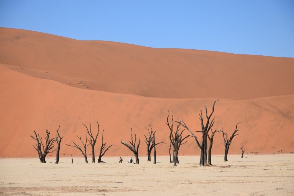 Lugares de otro planeta. Deadvlei - Viajando como loca