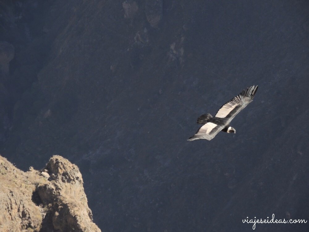 Tour por el Valle del Colca, Cruz del Cóndor