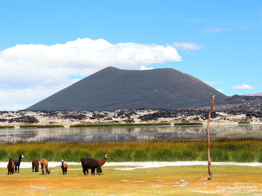 Antofagasta, norte de Argentina