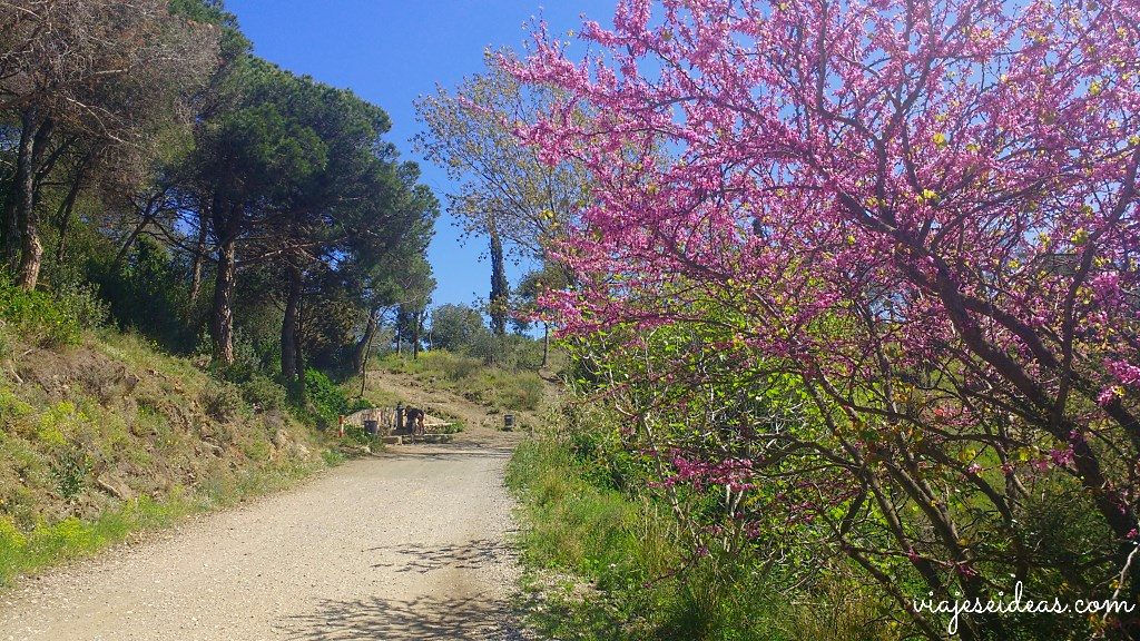Carretera de les Aigües Barcelona