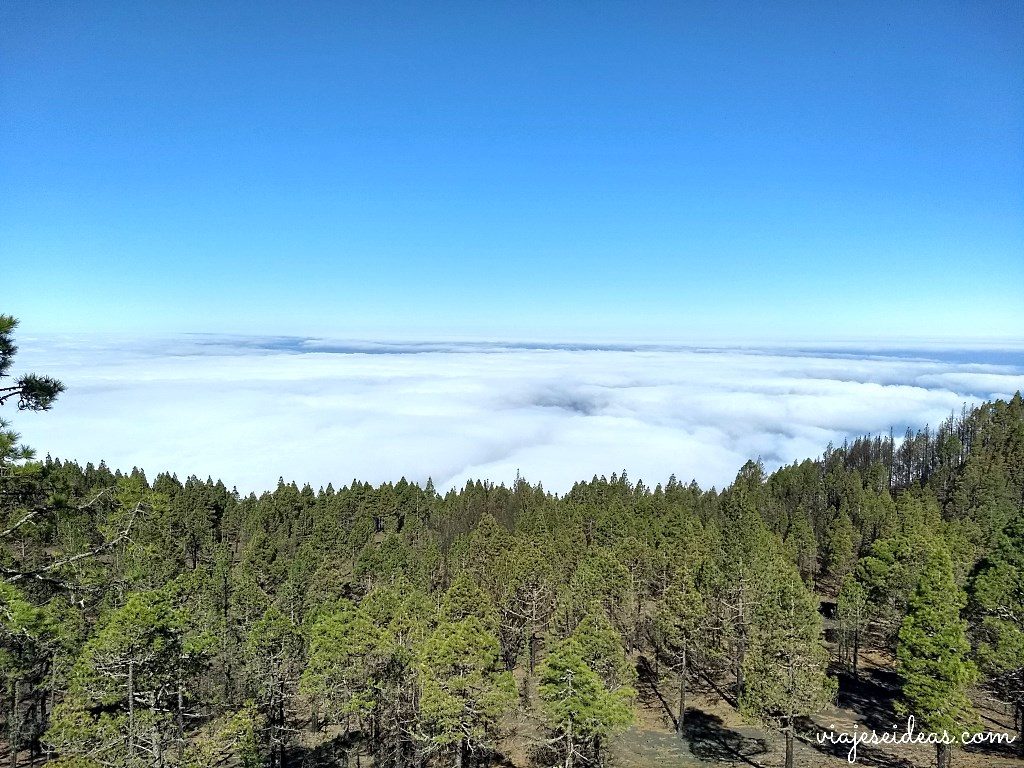 Mar de nubes, La Palma