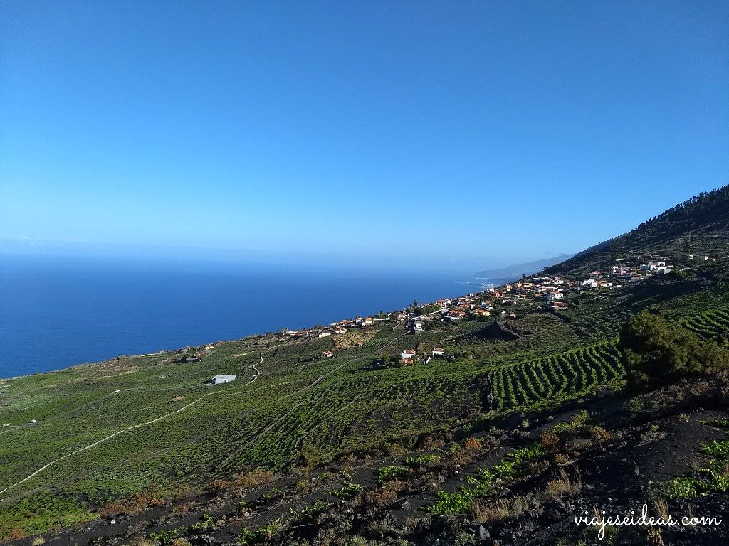 Viñedos La Palma