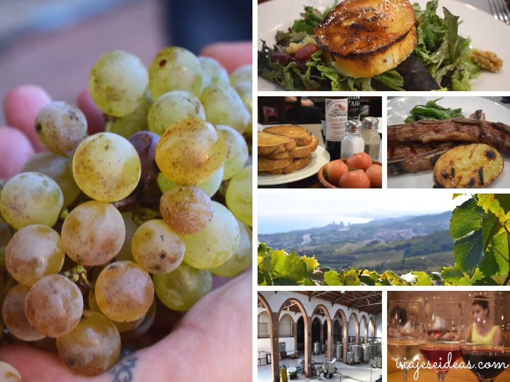 Alella Vinícola, visitar el Maresme