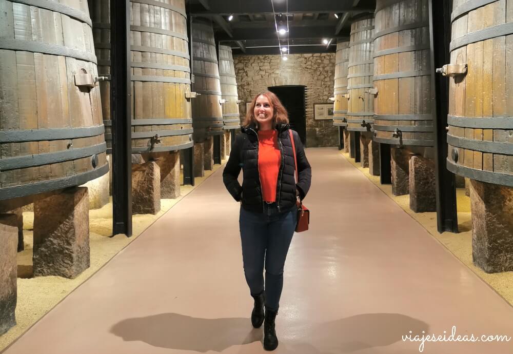 Qué hacer en Logroño, bodegas