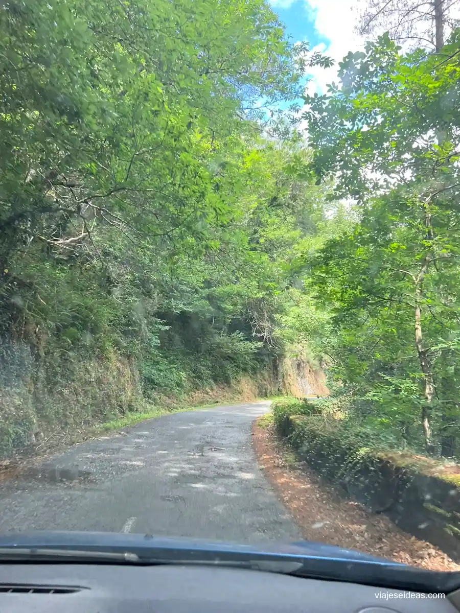 Carretera en fonsagrada