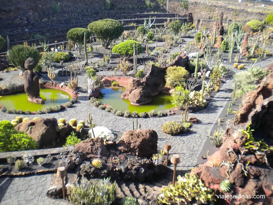 Parte del jardín