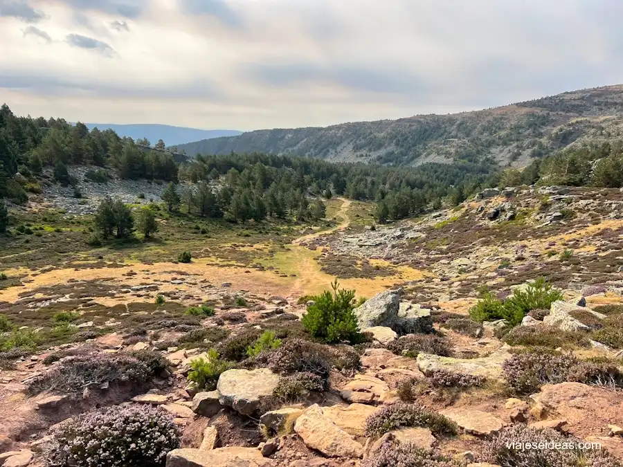 Vista de la parte de la pradera