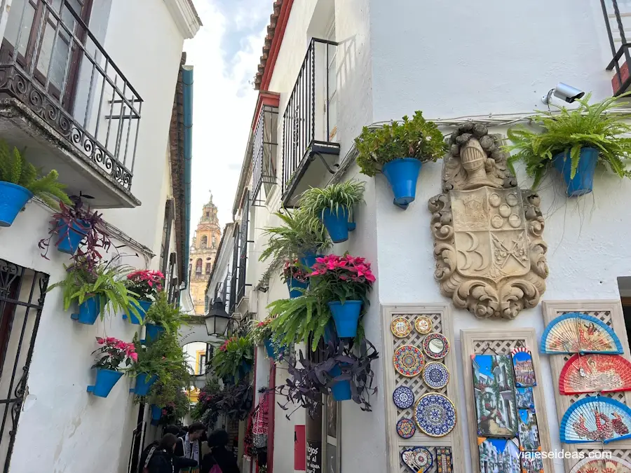 Vista de la calle y la torre de la Catedral al fondo